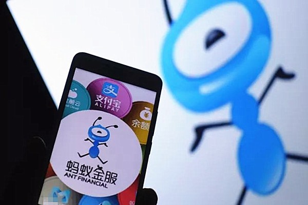 支付宝账号和密码哪里可以买到？